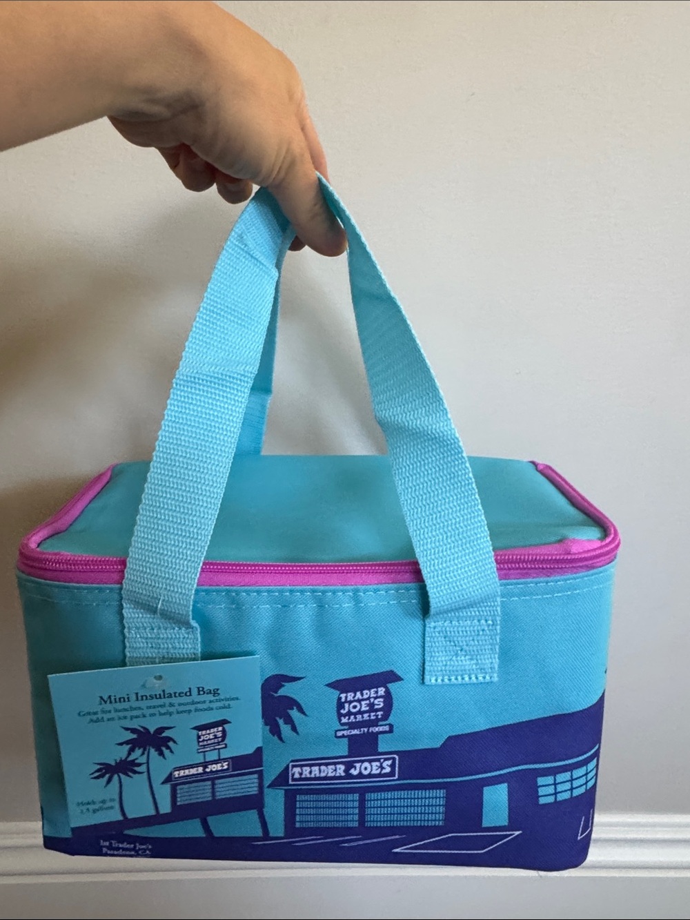 Trader Joe's Mini Insulated Bag in Turquoise with Pink Trim